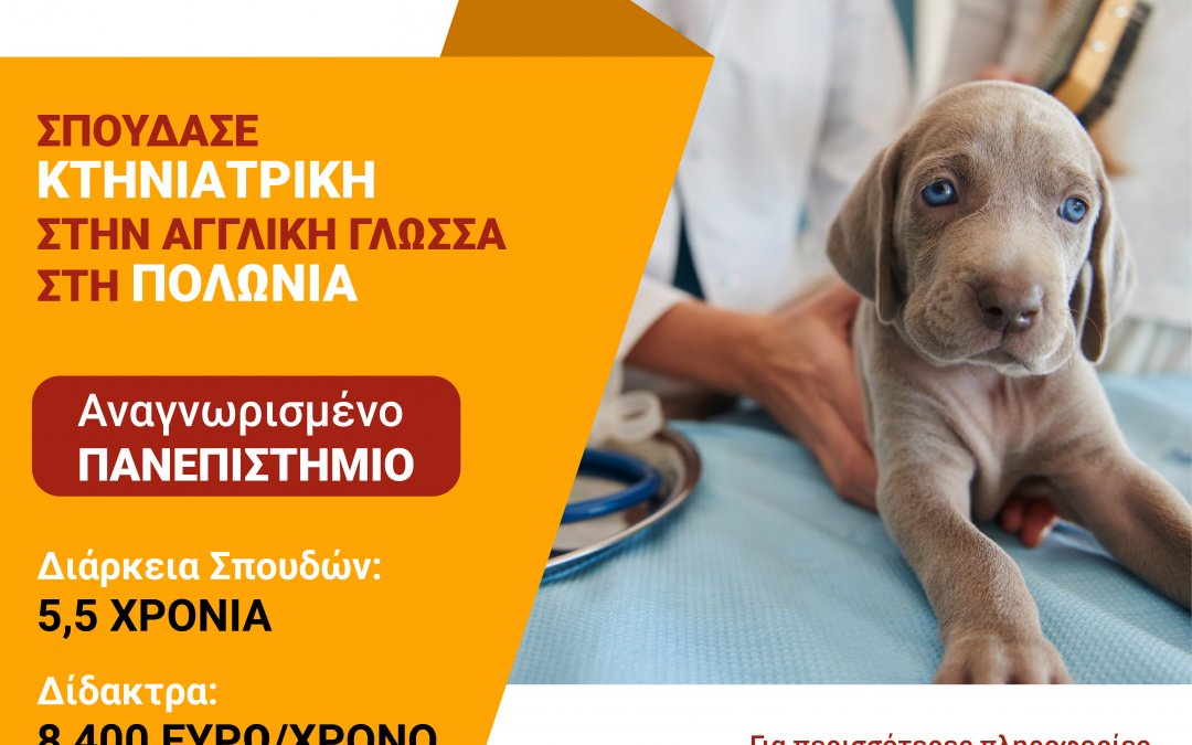 Study Veterinary in Poland (in English)